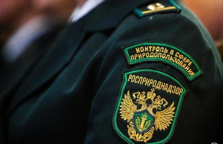 Скандал с «Центркомом»: Росприроднадзор предъявил иск на 205 миллионов рублей в рамках борьбы за землю с новым инвестором