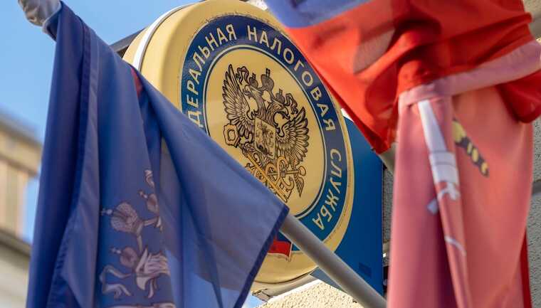 В Госдуме рассматривают расширение полномочий ФНС в сфере анализа деятельности компаний