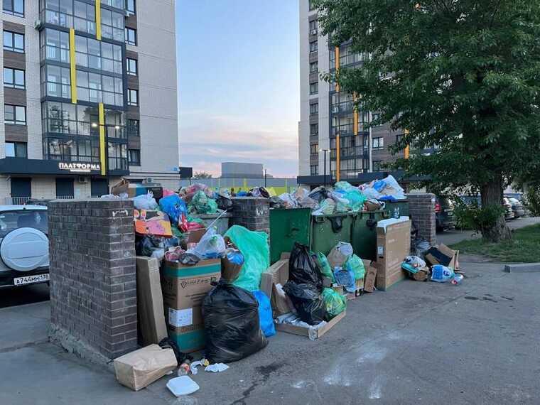 Свалка вместо системы: Иркутская область утопает в мусоре и безответственности